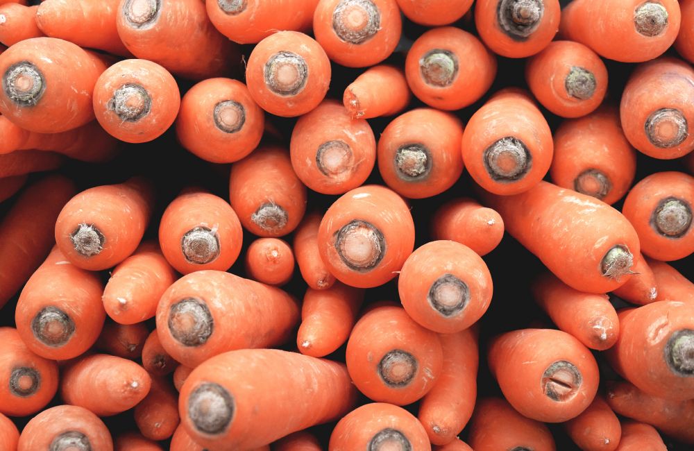food-safety-carrots